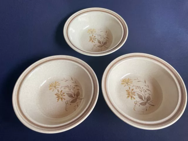 Royal Doulton Lambethware 3x Bowls 6 inch Sandsprite LS1013 1977