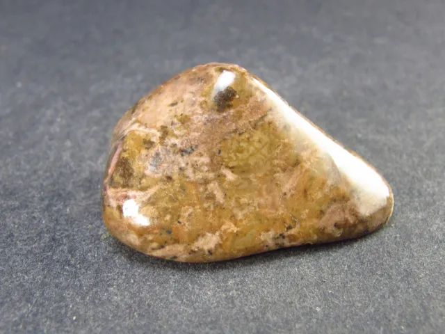 Rare Bustamite Piece from South Africa - 1.5" - 18.2 Grams