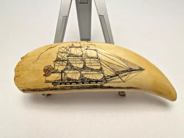 Scrimshaw Replica by ArTek London of Salem & USS of W Ohio Whale Tooth