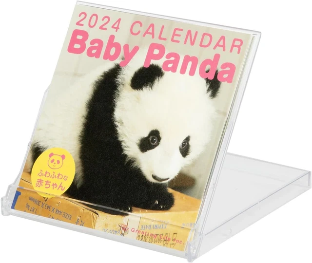 Greeting Life 2024 Calendar Panda FD C-152 Body size W90xH94xD50mm tabletop 50g