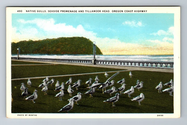 OR- Oregon, Native Gulls, Seaside Promenade, Antique, Vintage Postcard