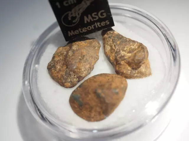 3 x Agoudal Iron Meteorite specimens together weighing 5.6g