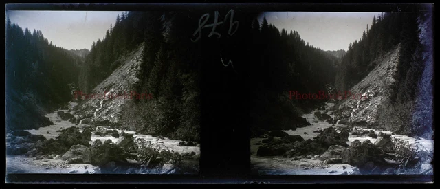 Montagne Paysage c1920 Photo NEGATIVE Stereo Plaque de verre PL28L3n2 Vintage 