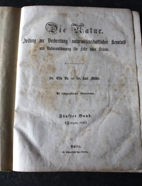 DIE NATUR.Zeitung zur Verbreitung naturw. Kenntnis....., Ule/Müller, 5. Bd. 1856