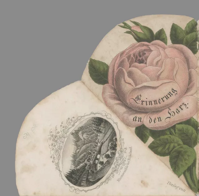 HARZ - Souvenirrose - "Erinnerung an den Harz" - tw. kol. Stahlstich um 1860