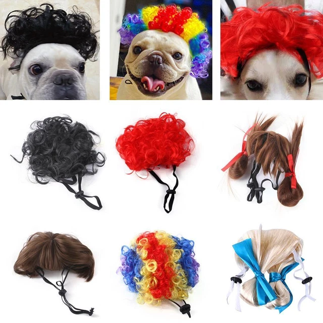 Parrucca stravagante per animali domestici copricapo, forniture per vacanze divertenti' B0L4
