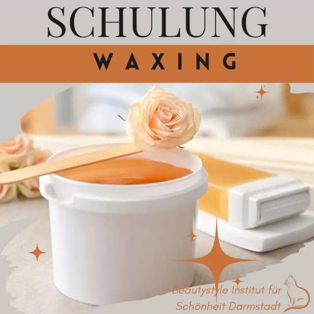 Selbststudium Waxing Haarentfernung Schulung mit Video Zertifikat