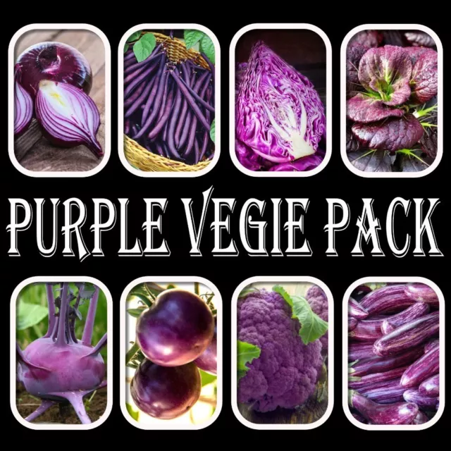 Vegetable Seeds Pack-Everything Purple-10 Packets-Culinary Cooking Garden Plants
