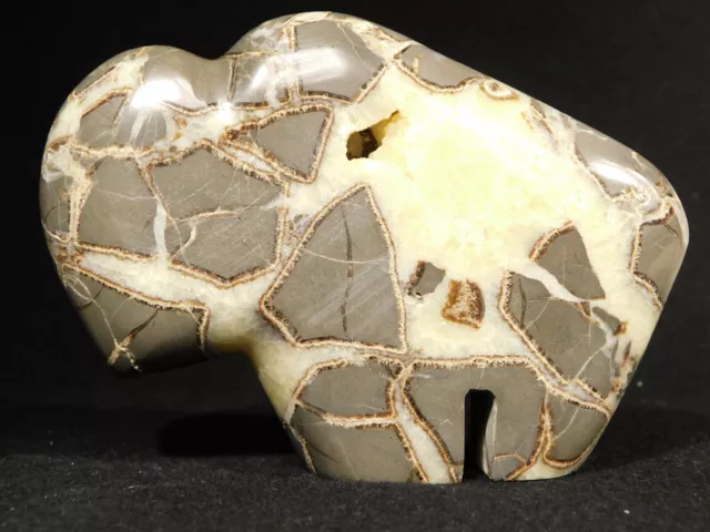 Big! Zuni BUFFALO Fetish Made From a 100% Natural Septarian Nodule! Utah 440gr