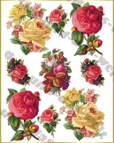 ✿ Romantische VINTAGE ROSEN Bügelbilder SHABBY CHIC NOSTALGIE ROSE NEU ✿