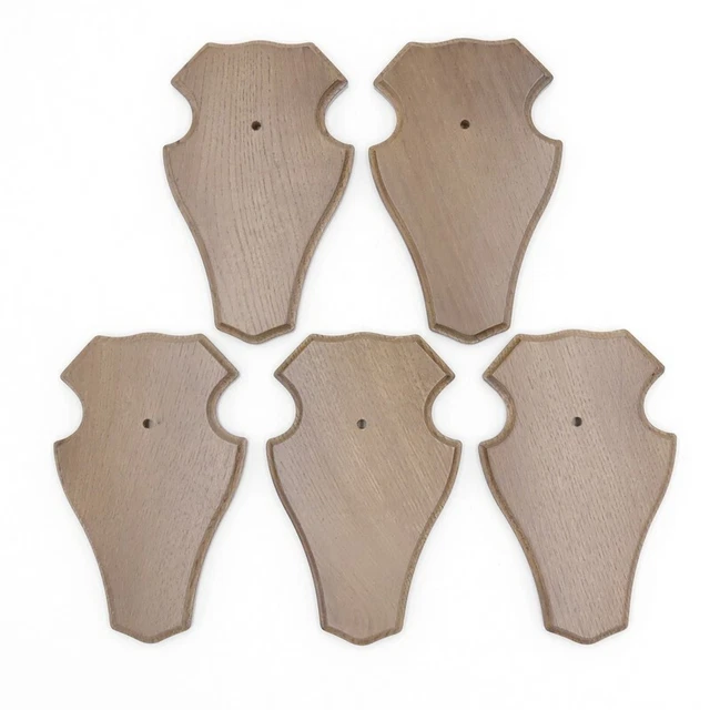 5 Pieza Ciervo Escudo de Trofeo Romo Pequeño Braun Af 19CM X 11CM