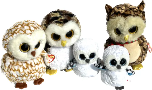 Ty Beanie Boos Owls Lot 5 Plush Big Eyes 9" Wise Swoops Owliver & 6" Spells NWT
