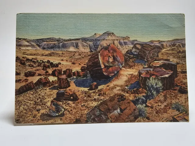 1950s Holbrook Arizona Petrified Forests Santa Fe Linen Postcard 55
