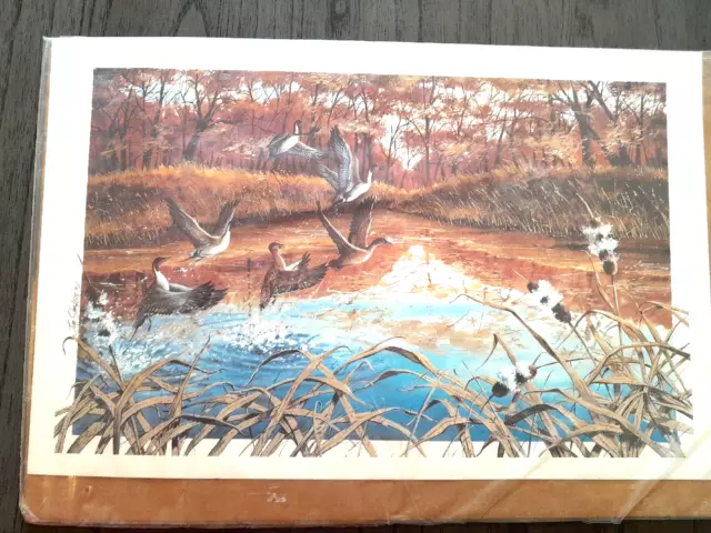 Vintage Signed Jim Simpson Lithograph Print 11x17 ~Ducks Landing in Pond~ Certif