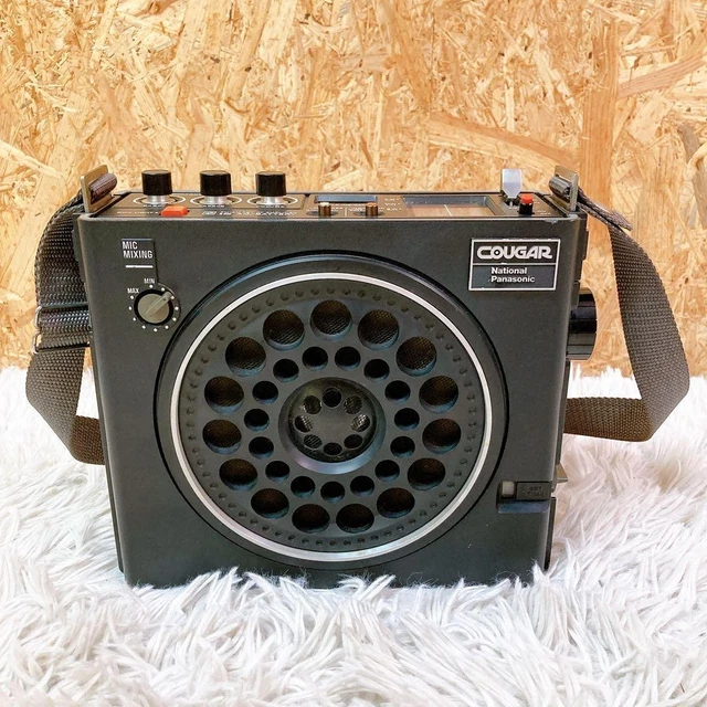 Radio National Panasonic DOPPEL PS RF-859LB - Vintage Japon - Occasion