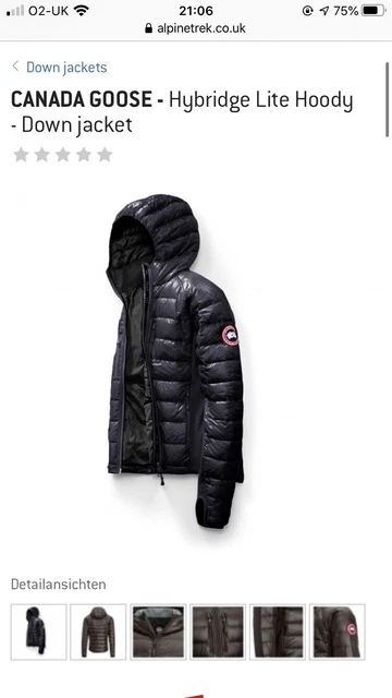 Canada goose hotsell alpinetrek