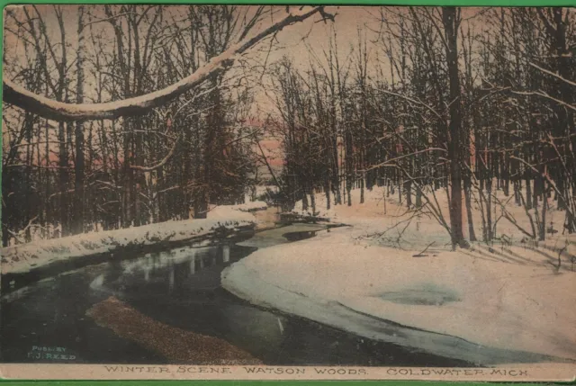 Vintage Michigan MI RPPC Photo Postcard Hand Colored Snow Watson Woods Coldwater