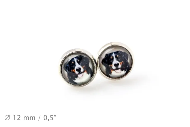 Bernese Mountain Dog. Pet in your ear. Earrings. Photojewelry. Handmade. USA