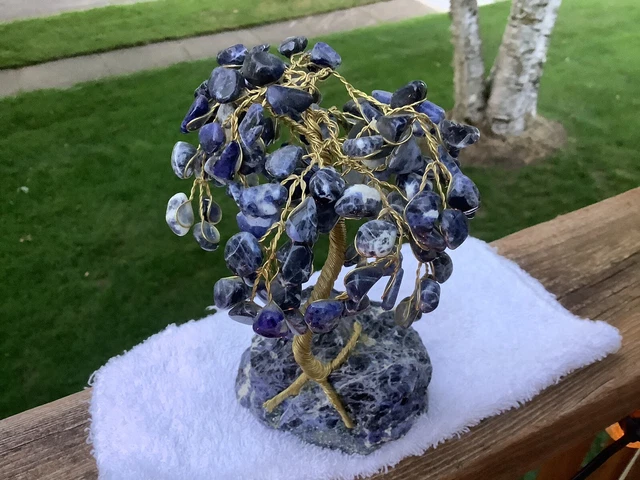 Sodalite gem tree Sodalite Stone  Flowers Feng Shui healing on Sodalite Base 3