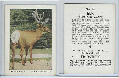 F55 Frostick, Animal Cards, 1933, #36 American Elk
