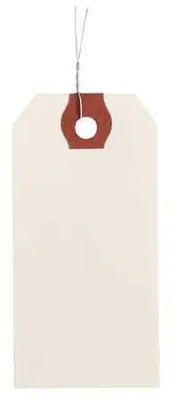 Zoro Select 4Wky4 2-3/8" X 4-3/4" White Paper Wire Tag, Includes 12" Wire,