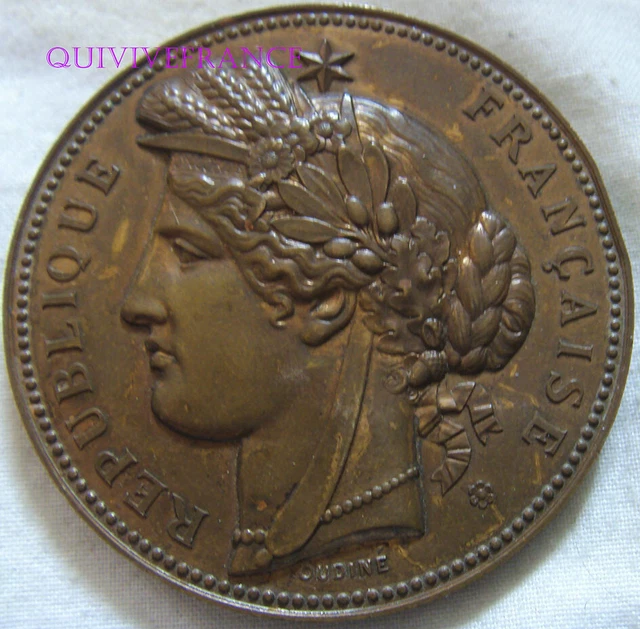 Médaille 1977 Du Conseil Général De La Haute-Garonne (Occitanie) En Bronze - 76 Mm