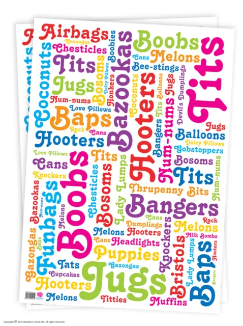 Brainbox Candy funny rude Boob Words wrapping paper gift wrap sheets birthday