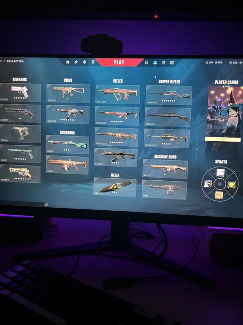 Compte Valorant PC - Peak Immortal 1 - 172 Skins Rares - Valeur 1000€+