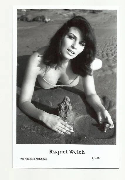 (Bx16) Raquel Welch Swiftsure Photo Postcard (4/246) Filmstar Pin Up Glamor