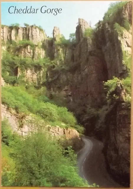 The Pinnacles, Cheddar Gorge, colour postcard, unposted