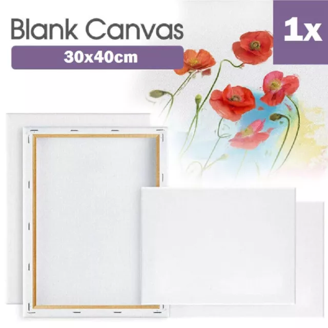 1X Blank Painting Canvas Artist Stretched Canvases White Art Oil Acrylic Paint