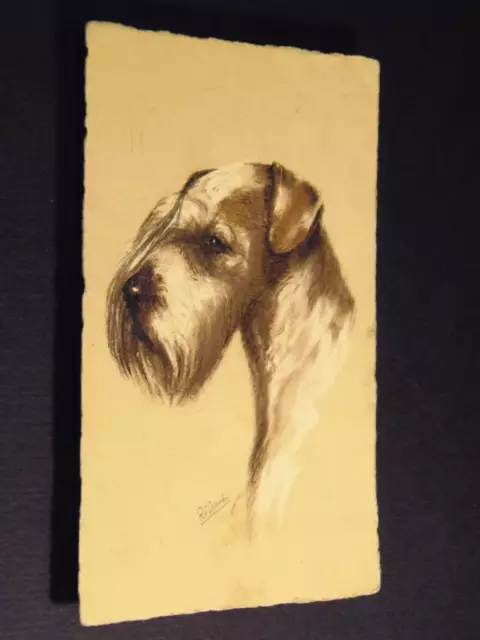 Sealyham Terrier Dog Artist Signed Postcard No. 122