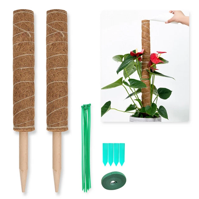 Pflanzstab Kokos Rankhilfe Rankstab Kletterhilfe verlängerbar Monstera 2er Set