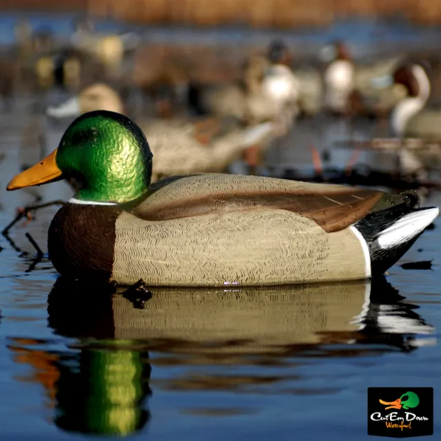 Avery Greenhead Gear Ghg Hot Buy Magnum Mallard Duck Floating Decoys