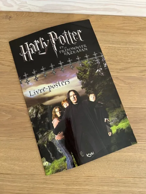 Papier peint panoramique Harry Potter match de quidditch peinture