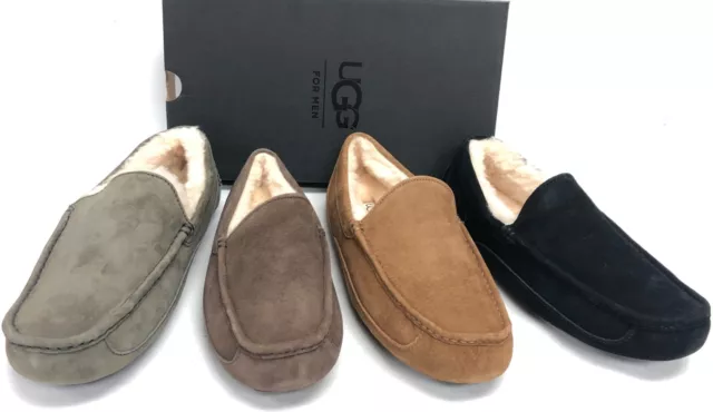 Ugg Australia Mens Ascot Suede Sheepskin Slipper 5775 Chestnut Charcoal Espresso