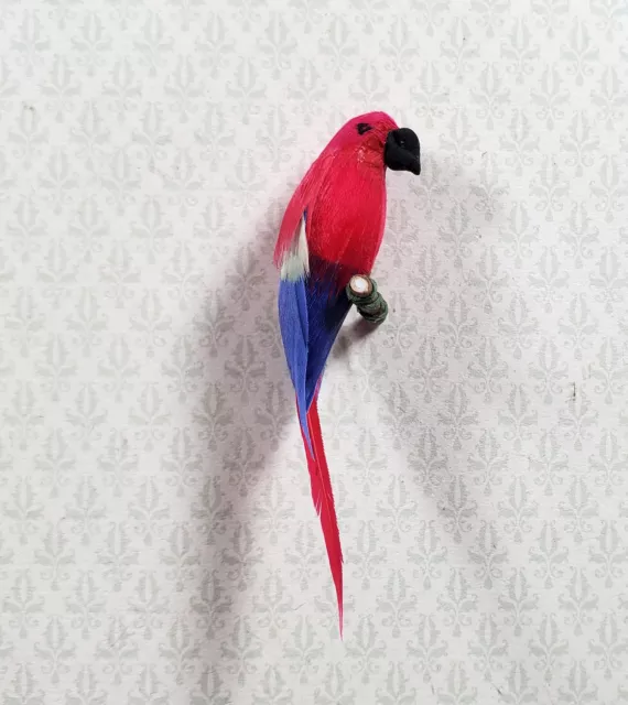 https://www.picclickimg.com/5jcAAOSwdsZkyX~8/Dollhouse-Bird-Parrot-Scarlet-Macaw-Large-112-Scale.webp
