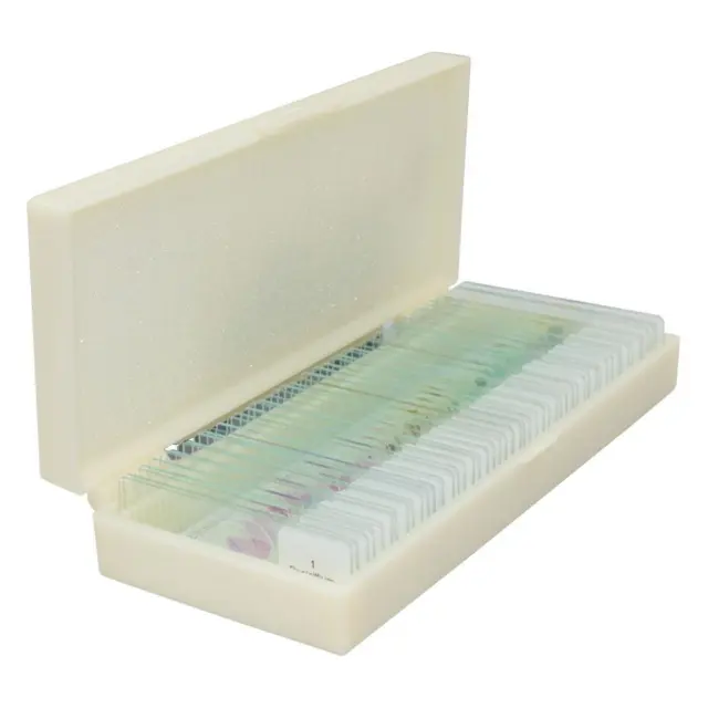 Discover the Fascinating World of Biology with 50 Pro Microscope Slides - Ideal