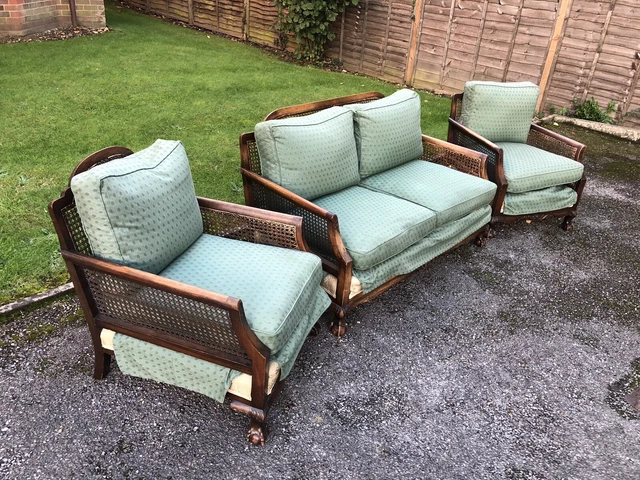 Ornate Antique Bergère Cane Sofa and Two Armchairs