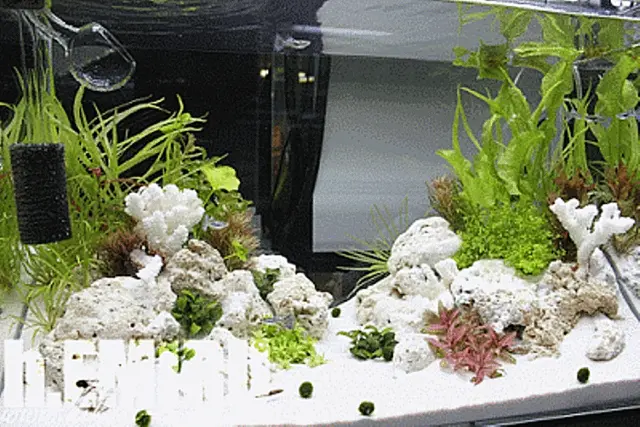 Super White Fish Tank Aquarium Sand  Cichlid / Stingrays/  Discus  42 Lb's 7