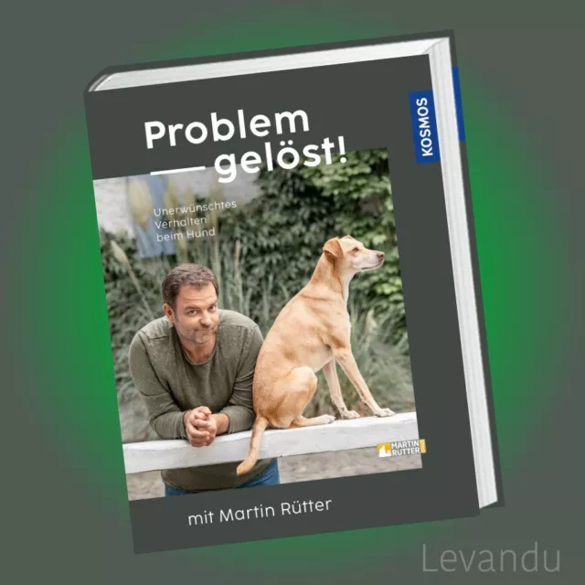 PROBLEM GELÖST! MIT MARTIN RÜTTER | Unerwünschtes Verhalten beim Hund - Ratgeber