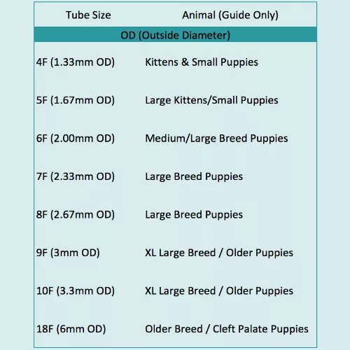 Sterile Feeding Tube Or With Milk Syringe Whelping Sm Lge Kitten Puppy 4f 5f 6f 3