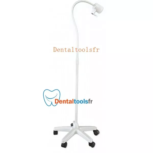 JSF 3W Mobile Lampe d'examen diagnostic LED dentaire dentiste JC01