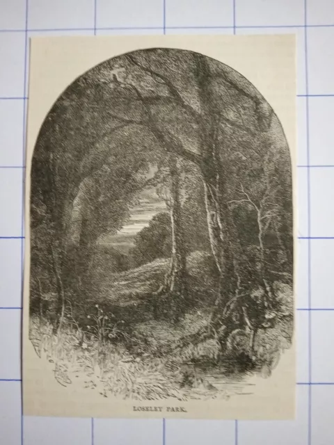 Loseley park  England illustration 1891