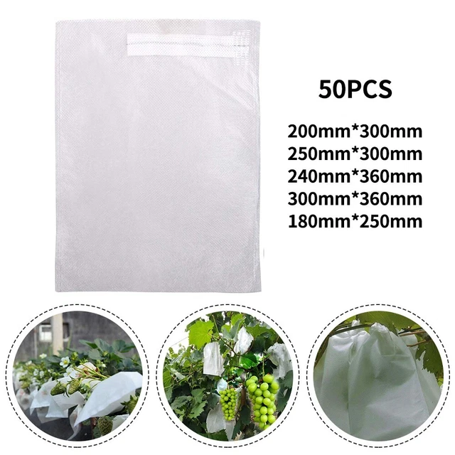 Étui de Acrylique Transparent pour Figurines Boîte Mystère, Vitrine en Protection pour Labubu avec Chaîne en Métal, Couvercle Anti-poussière et Anti-Rayures pour Mini-poupées de Collection (Stehend Étui de Acrylique Transparent pour Figurines Boîte Mystère, Vitrine en Protection pour Labubu avec Chaîne en Métal, Couvercle Anti-poussière et Anti-Rayures pour Mini-poupées de Collection (Stehend