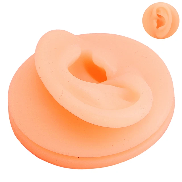 (orecchio sinistro) Modello orecchio umano modello orecchio falso modello orecchio e trama delicata portatile per