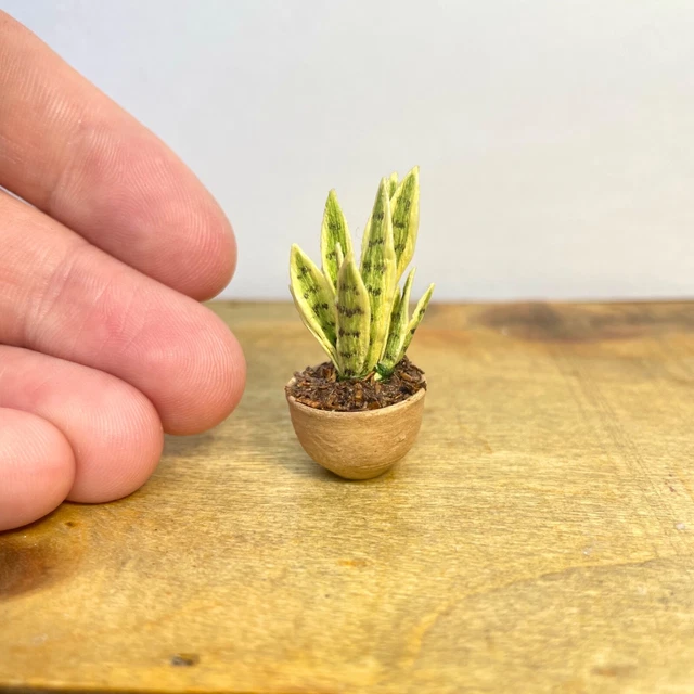 Pianta Di Plastica Verde In Vaso Per La Decorazione All'aperto Fotografia Stock - Immagine Di - Foto 4