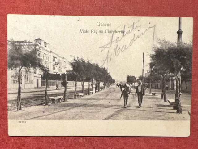 Cartolina - Livorno - Viale Regina Margherita - 1905 ca.