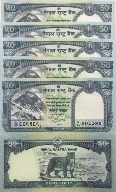Nepal 50 Rupees 2019 P 79 b Leopard UNC Lot 5 Pcs