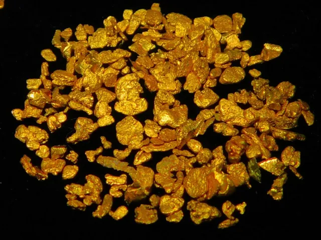 Gold Nugget Pannings ( 1.62 grams ). Cleaned in an Ultra-Sonic Cleaner.